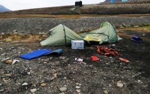 Updated: Another Polar Bear Attack in Svalbard » Explorersweb