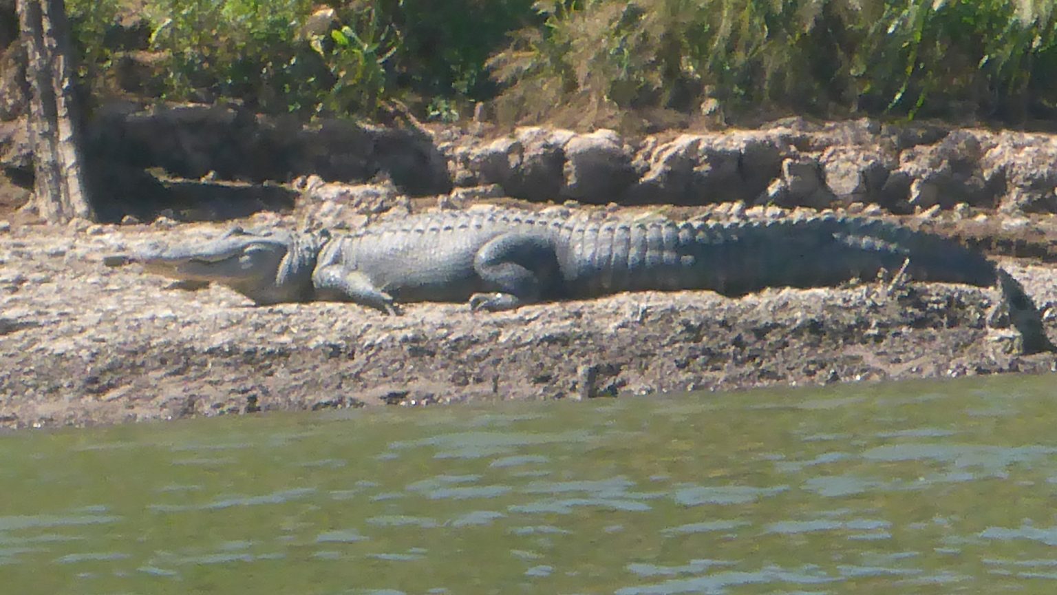 America's UltraPaddle 5,800Km Along the Missouri River » Explorersweb