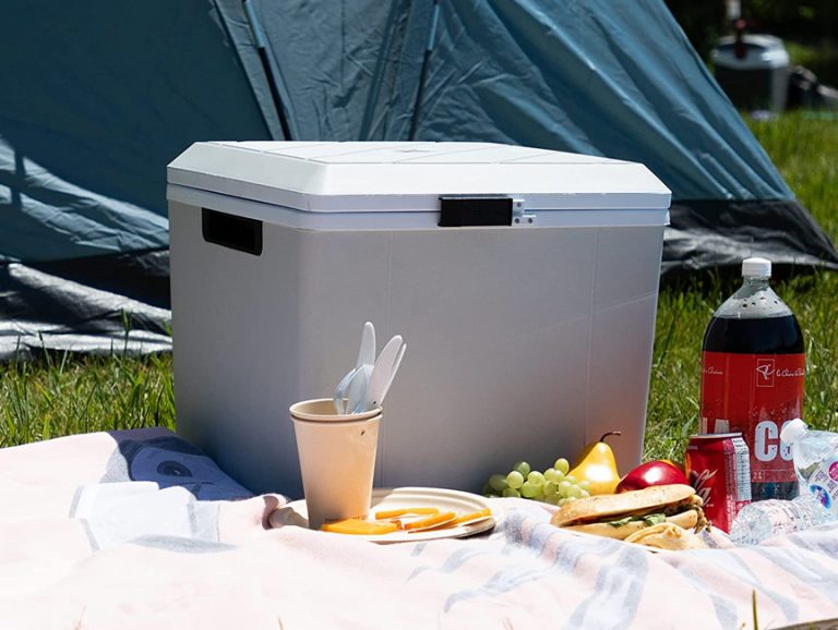 Refrigerators for Ramblers Best Electric Coolers of 2022 » Explorersweb