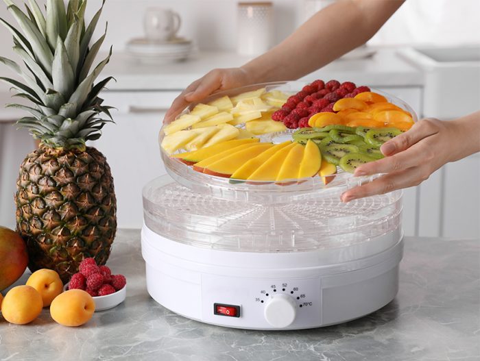 Make Your Own Camp Food with the Best Food Dehydrators in 2022