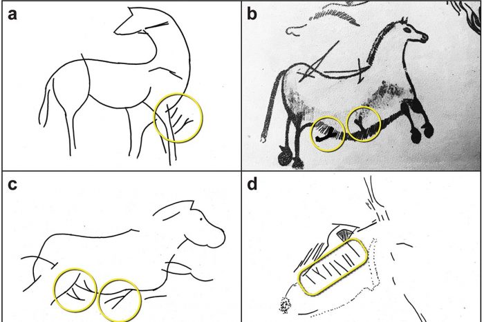 A Person Off The Street Solves Mystery Of Ice Age Drawings Explorersweb