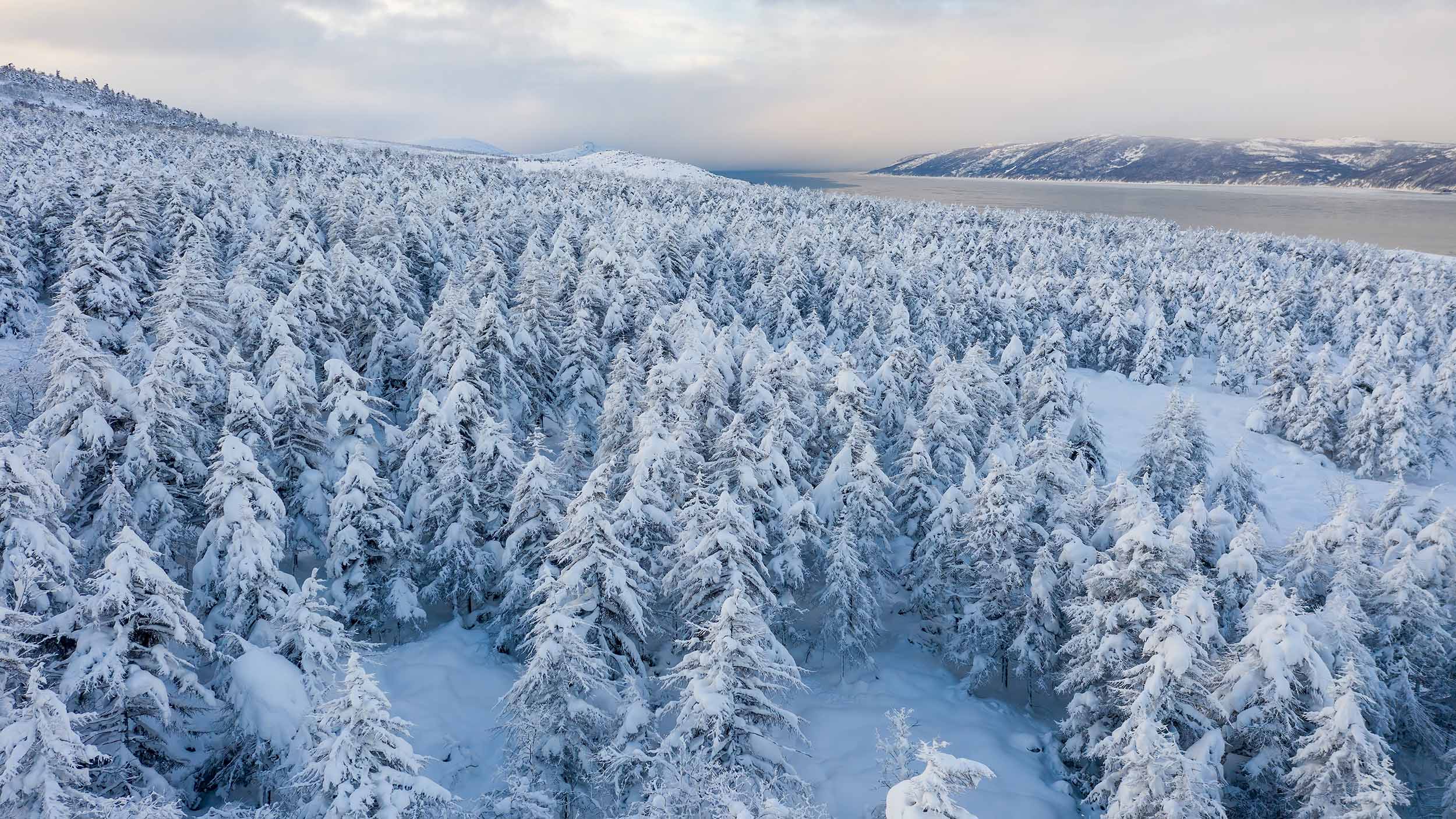 Siberia Russia Regions