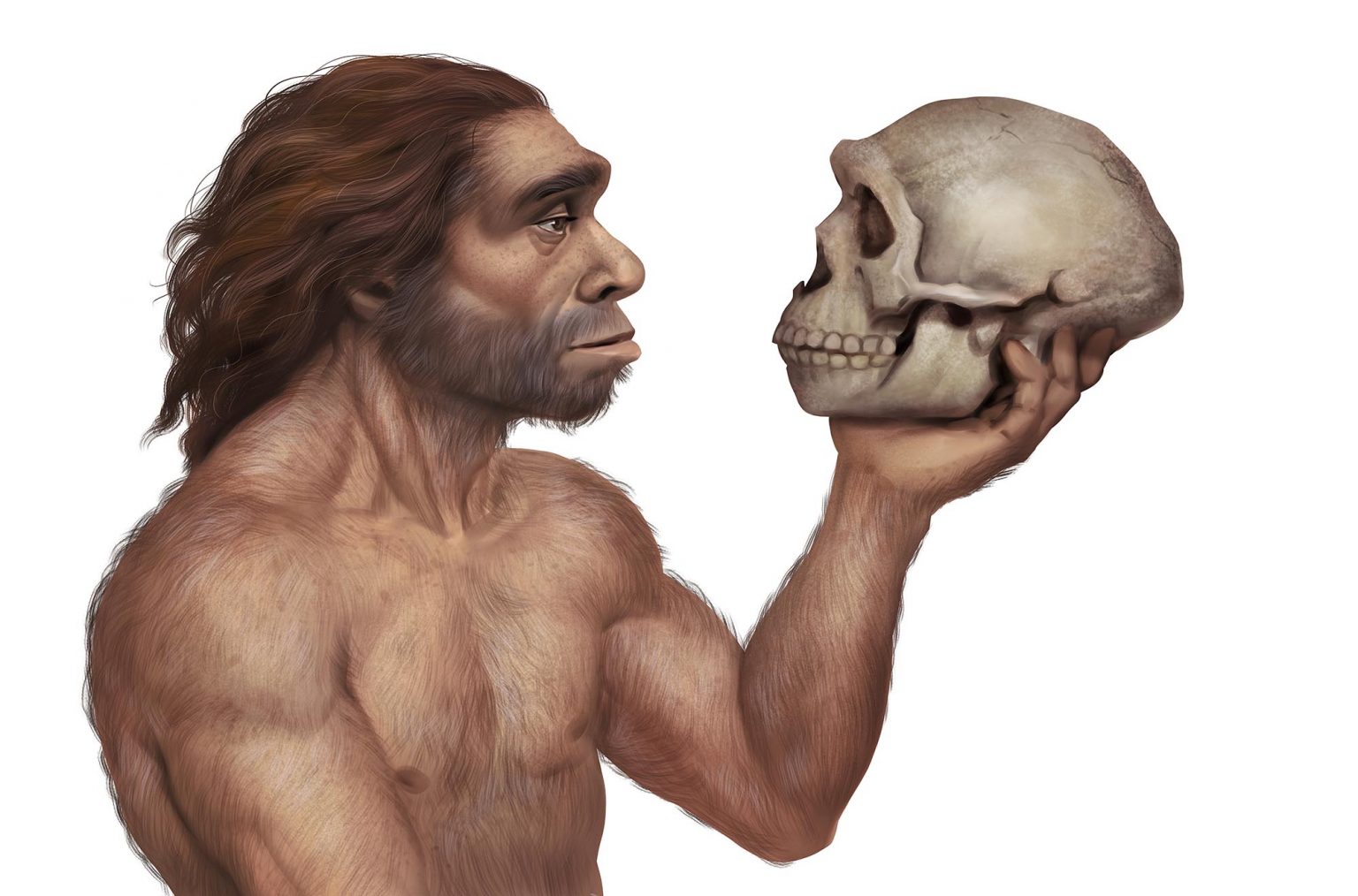 'No Single Birthplace' Study Finds Ancient Diversity In Human
