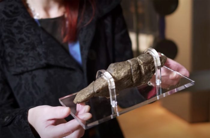 A $39,000 Turd: Fossilized Viking Poo Is World's Most Valuable