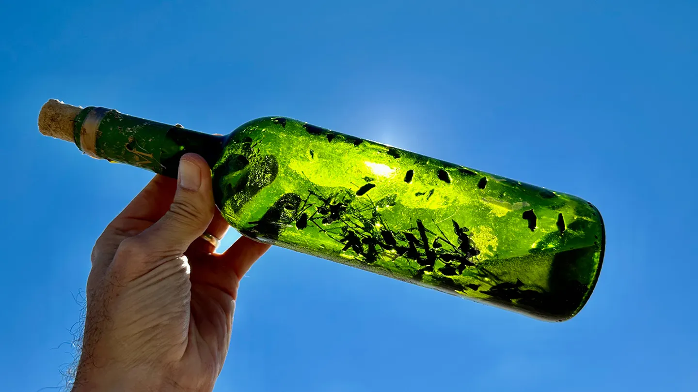 a green bottle filled with debris