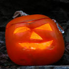 Pumpkins_nov_07006