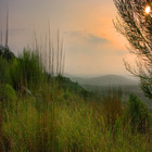 Texas-hill-country-golf