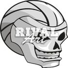 Volleyball_skull