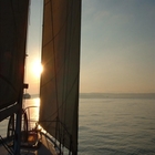 Mau_in_the_sunset
