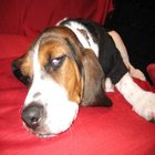 Sleepy_lucy_3