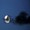 themoonclouded