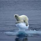 Polar_meltdown_13_a_627162h