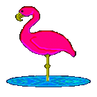 Flam