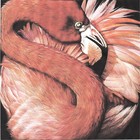 Flamingo_color_restore_sm