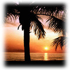 Sunset_homepage