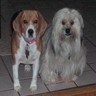 Babies_1_