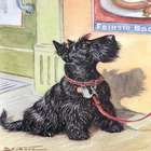 Thm_scottishterrier