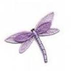 Purple_dragonfly