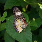 Charlevoix_158