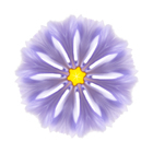 Iris-mandala-1_2007-05-15_77-a