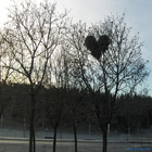 Love-fm-stockholm-arash-chaginy2