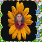 Mukesh3