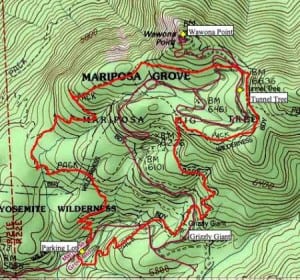 Mariposa Grove of Giant Sequoias Trail Map
