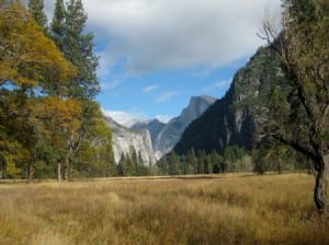 Half Dome Meadow Valley Trail Yosemite