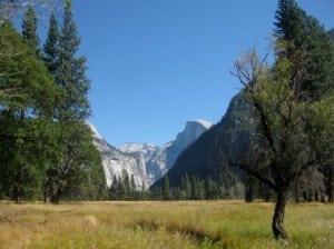 Half Dome Meadow Valley Trail