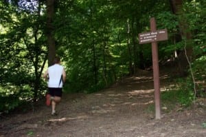 Valley Trail Rock Creek Park