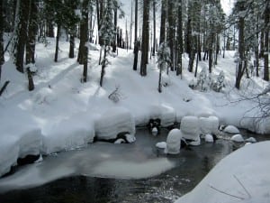 Yosemite Cottonwood Creek winter