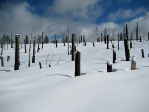 Yosemite Winter Routefinding