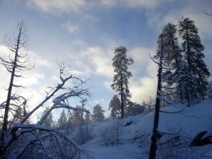 TransYosemite Day 2 morning