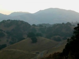 Mount Diablo from Shell Ridge