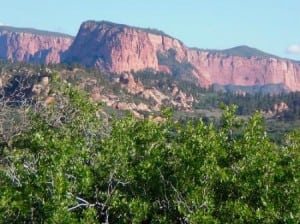 Kolob Canyon toward Hop Valley