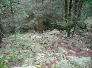 Rothrock Trail Challenge