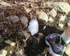 Vasque Transistor FS snow mud