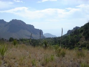 Big Bend National Park trail running