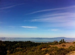 Dick Collins Firetrails 50 San Francisco