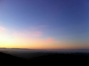 Dick Collins Firetrails 50 2010