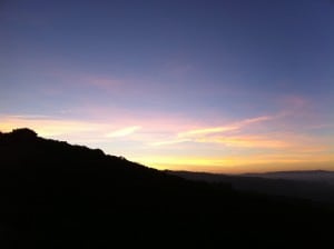 Dick Collins Firetrails 50 2010