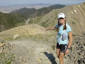 Bridger Mountains goat