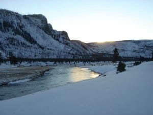 Madison River Yellowstone National Park