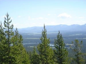 Pelican Valley Yellowstone National Park