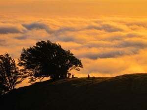 Sunset Mount Tamalpais