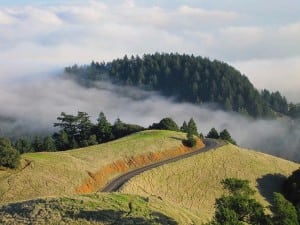 Mount Tamalpais fog