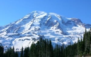Rainier Paradise