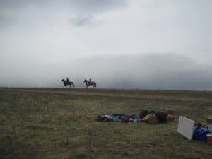 Horses at the Buffalo Run.