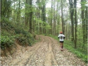 Belgrado Forest trail running
