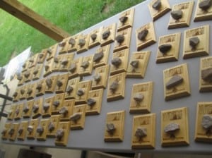 Rothrock Challenge awards